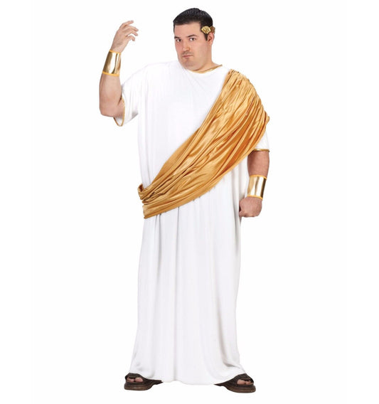 Hail Caesar Emperor Roman Greek Toga Adult Plus Size Costume